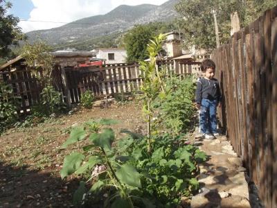Beymelek Tas Evler - 30