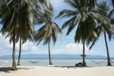 Sea Love Beach Bar & Bungalows - 7