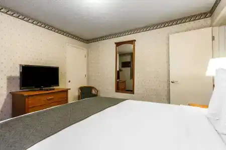 Quality Inn & Suites - 60