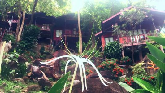 Phi Phi Green Hill Resort - 25