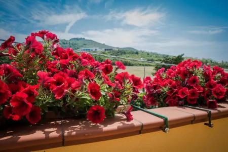 b&b Il Girasole - 70