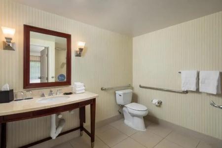 Sheraton Carlsbad Resort & Spa - 84