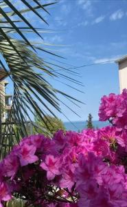 Иберия 2019 - 61