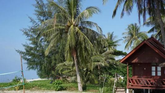 Morning Star Resort - 200