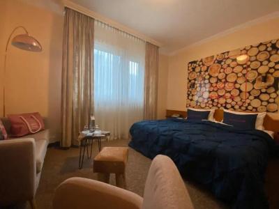 Harz & Spa Seela - 71