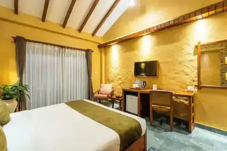 Bar Peepal - 108