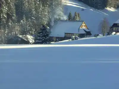 LandThälerhäusle Ochsen - 15