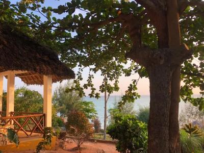 Sazani Beach and Tidal Lounge - 50