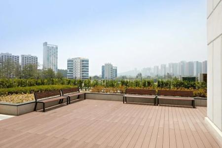 Ocean Soleview - 12