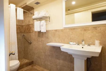 Senator Inn & Spa - 84