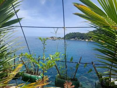 Hin Wong Dive & Snorkel Resort - 70