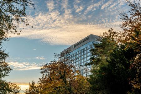 Intercontinental Geneva, An Ihg - 42