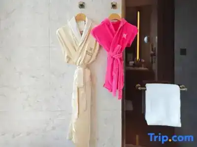 Wanda Reign Chengdu - 96