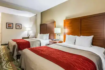 Comfort Inn & Suites West - Lookout Mountain - 2
