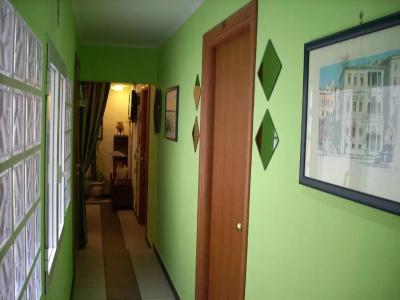 Evergreen - 13