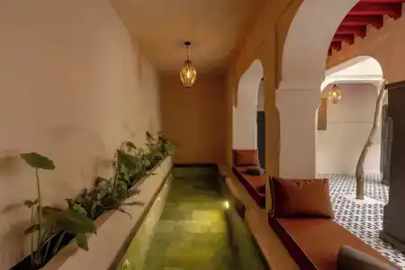 Riad Alghani - 8