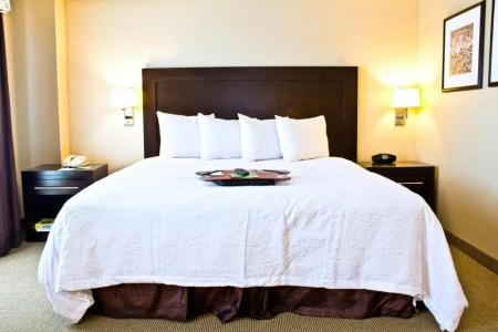 Hampton Inn & Suites Boston Crosstown Center - 27