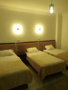 Arabian Nights Hostel - 53