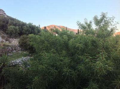 Asteras Studios - 14