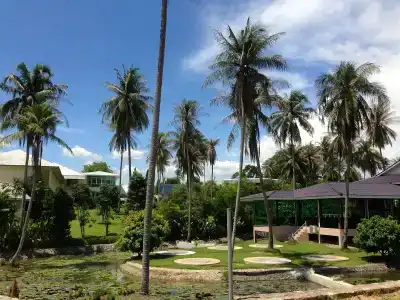 Suwan Driving Range and - 17