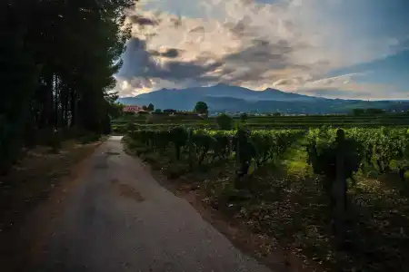 Agriturismo Tenuta San Michele - 24