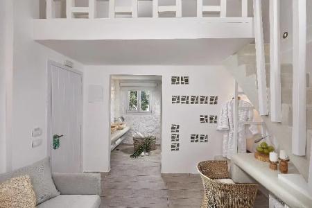 Petri Suites - 39