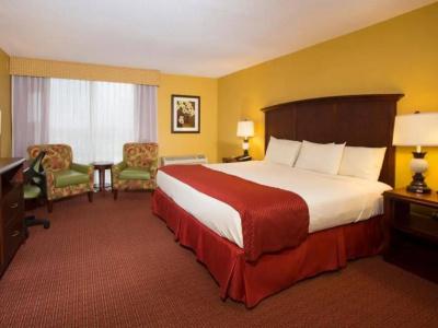 Rosen Inn Closest to Universal - 5