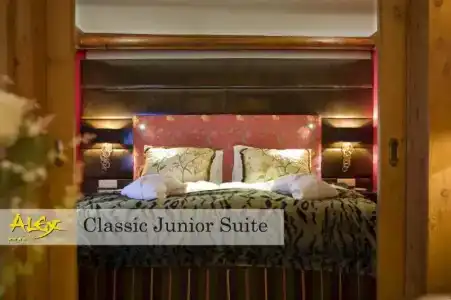Resort Alex Zermatt - 50