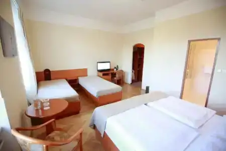 Merkur - Czech Leading Hotels - 36