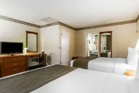 Quality Inn & Suites - 53