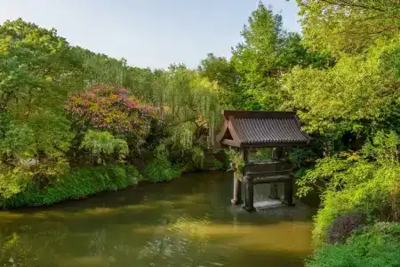 Sheraton Grand Hangzhou Wetland Park Resort - 34