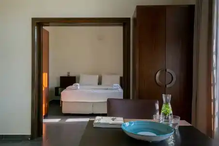 Krinos Suites Andros - 115
