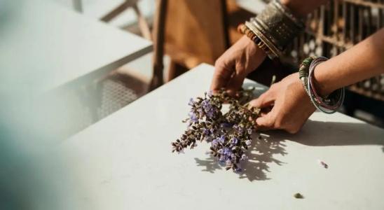 Aelia Wellness Retreat - 8