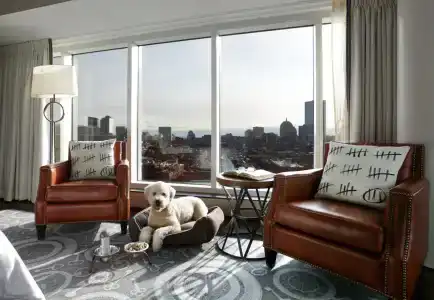 The Liberty, a Luxury Collection, Boston - 7