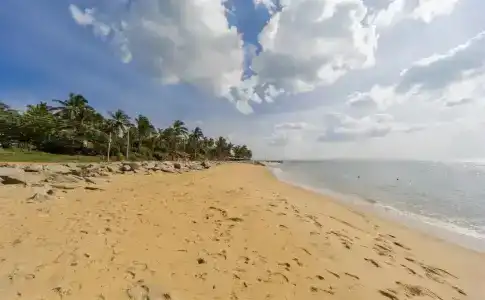 J Negombo - 16