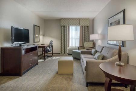 Hilton Garden Inn Southpoint - 90