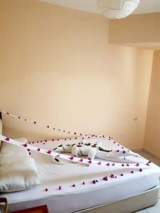 Palmen Apart - 103