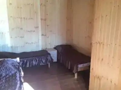 Золотая рыбка - 3
