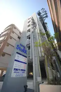 Stork - 3