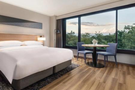 Izu Marriott Shuzenji - 90