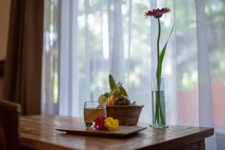 Ubud Aura Retreat - 11