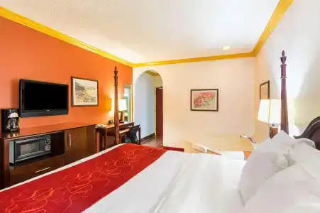 Quality Suites - 42