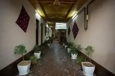 Eco - 13