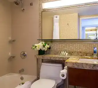 Holiday Inn San Francisco - Golden Gateway, An Ihg - 60
