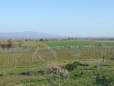Agriturismo Il Marrugio - 11