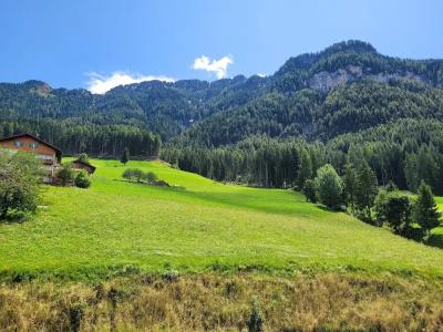 PanoramaBaumwirt - 12