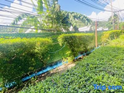 Phi Phi Andaman Legacy Resort-Sha Plus - 203