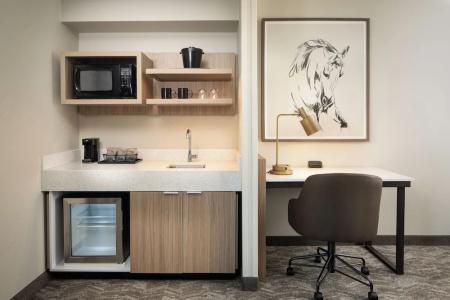 SpringHill Suites by Marriott Dallas Downtown / West End - 59