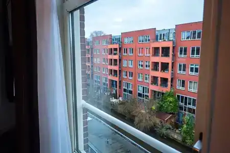Linden - 104