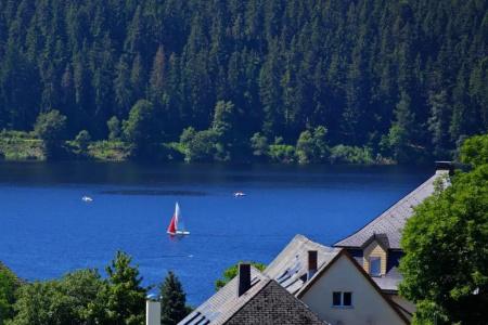 ParkFlora am Schluchsee - 91